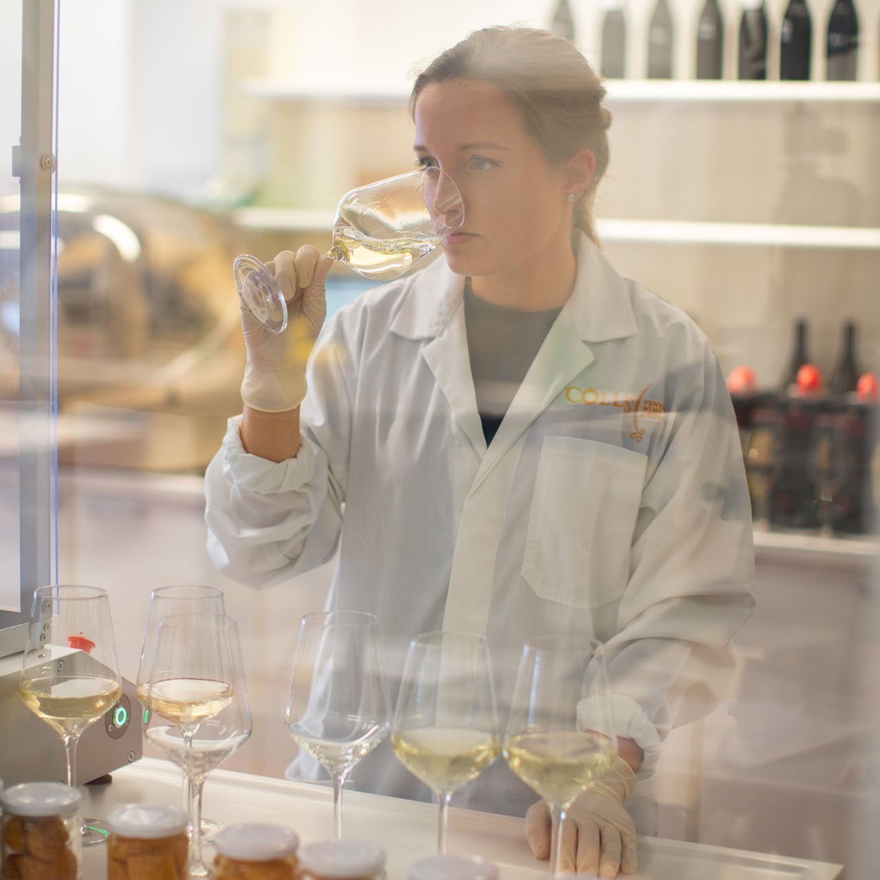 CANTINE RIONDO valori Kaizen